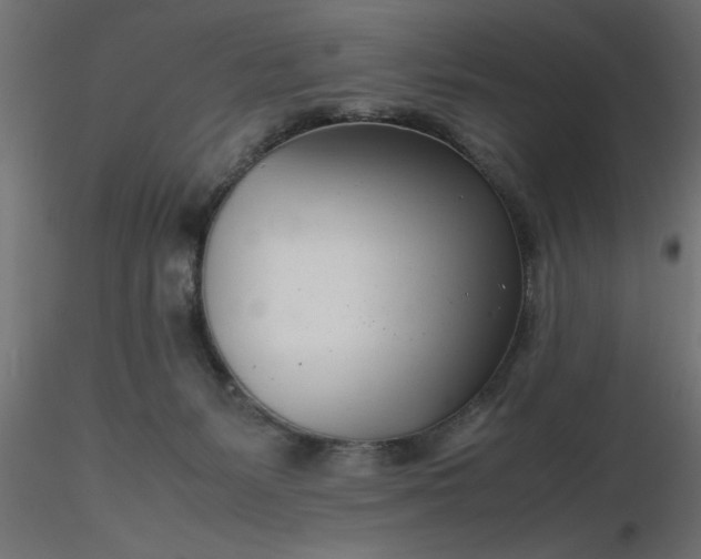 X0000116660127200912291645