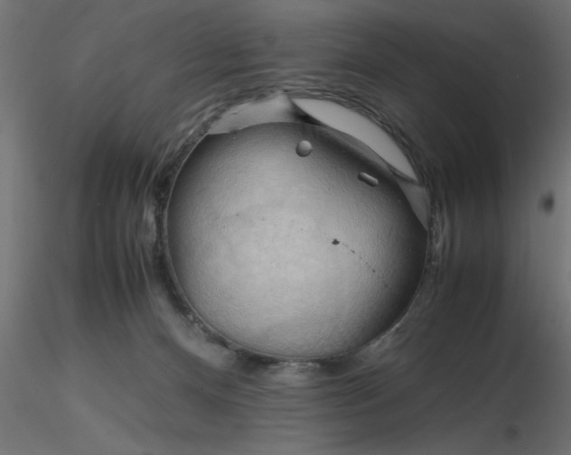 X0000116660128200912291645