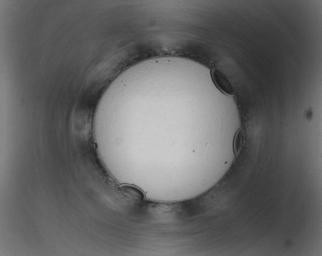 X0000116660129200912291645