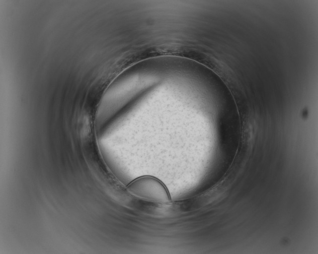 X0000116660130200912291645