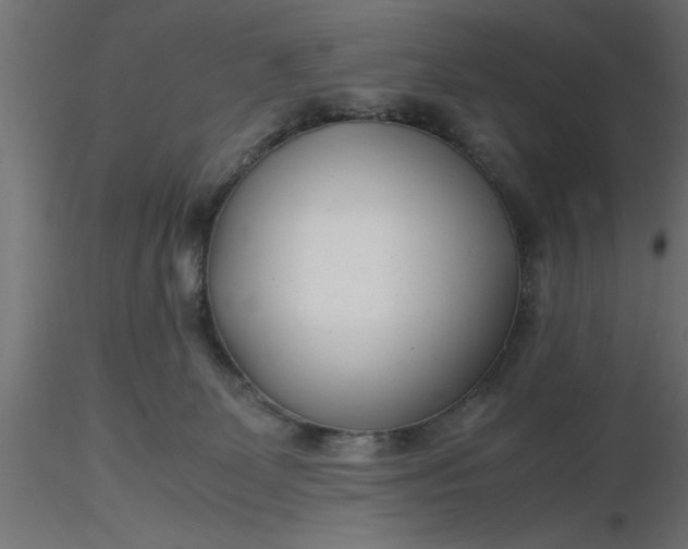 X0000116660131200912291645