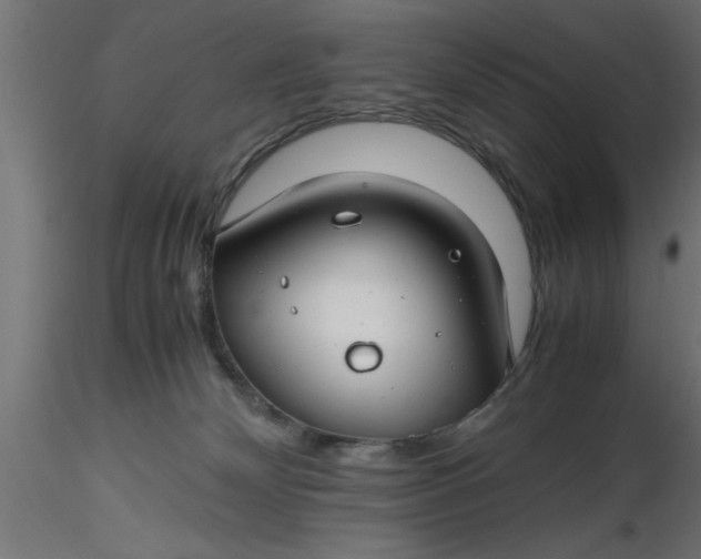 X0000116660132200912291645