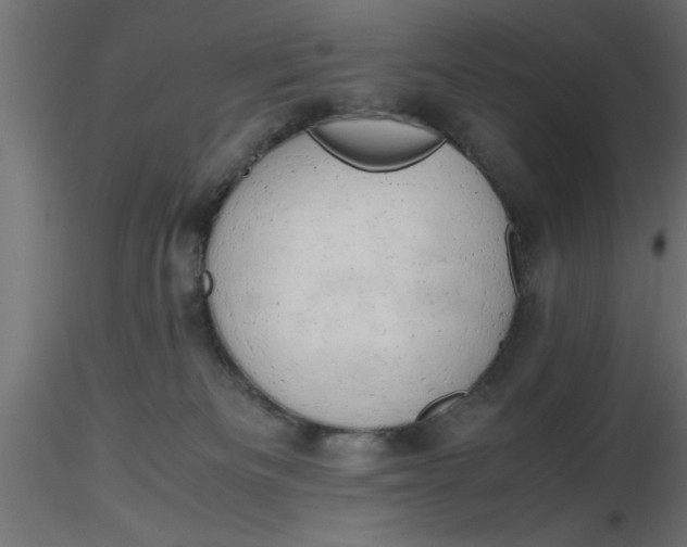 X0000116660133200912291645