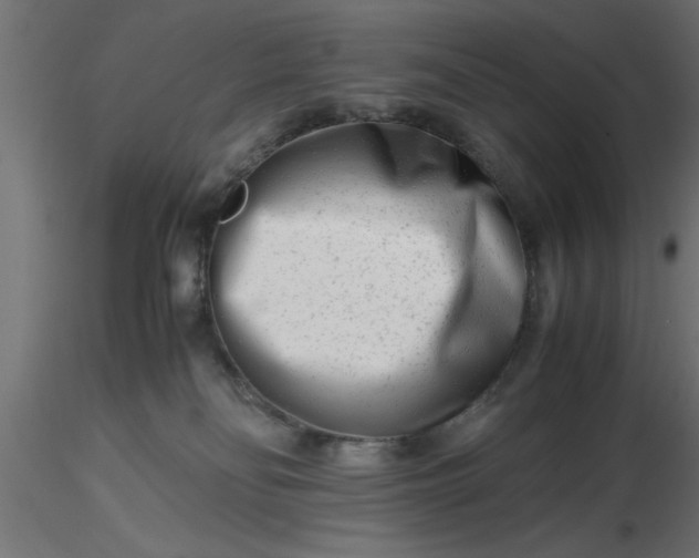 X0000116660134200912291645