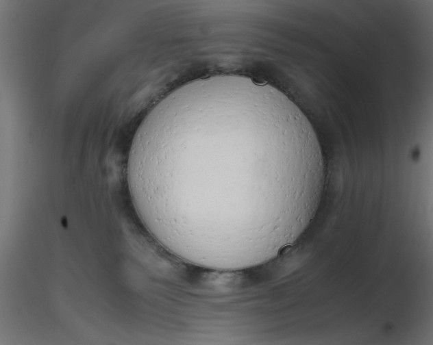 X0000116660135200912291645