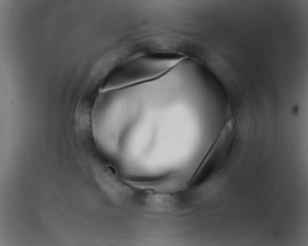 X0000116660137200912291645