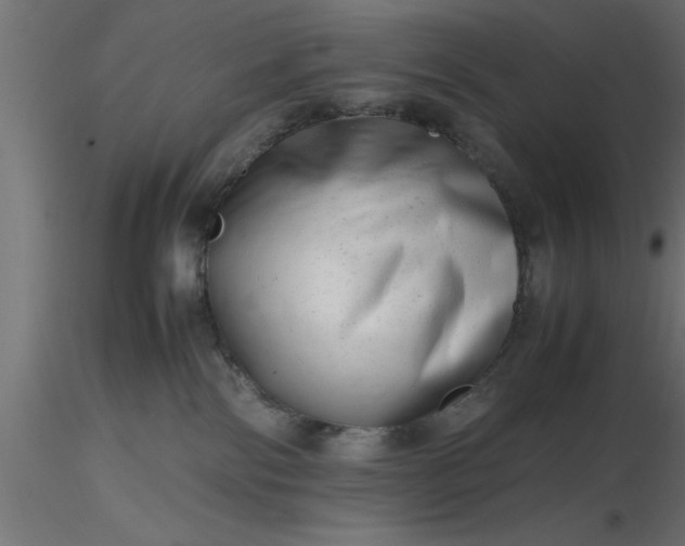 X0000116660138200912291645