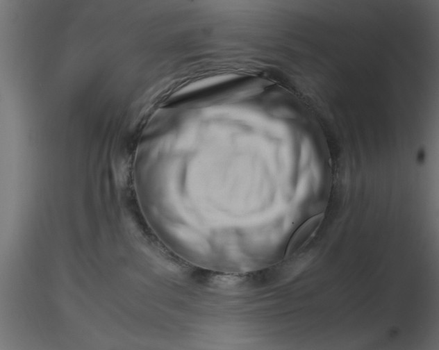 X0000116660139200912291645