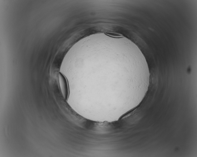 X0000116660141200912291645