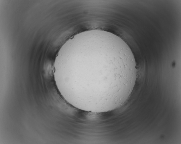 X0000116660142200912291645