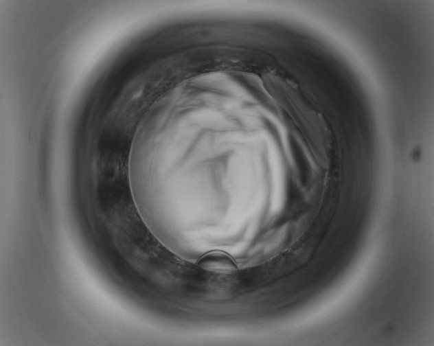 X0000116660143200912291645