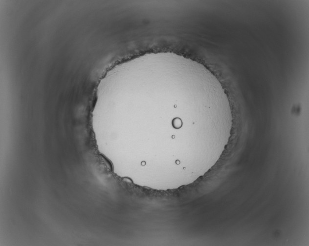 X0000116660144200912291645