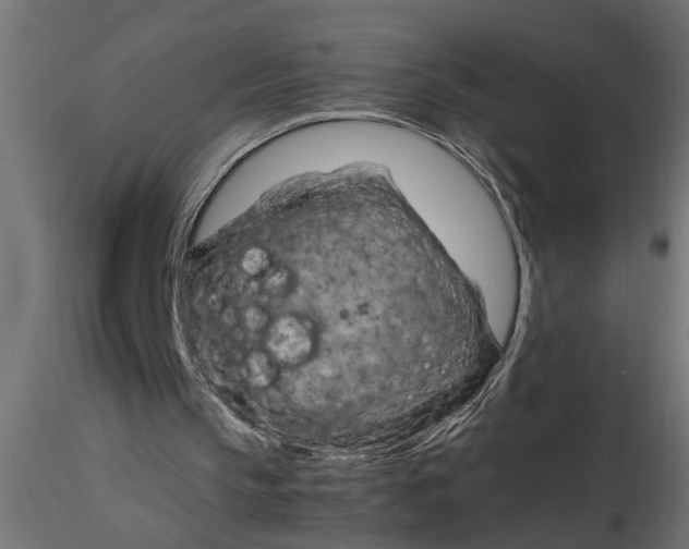 X0000116660145200912291644