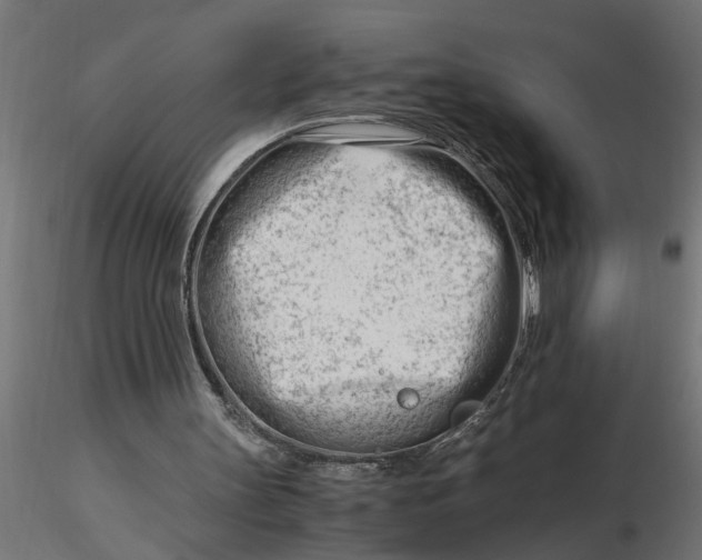 X0000116660147200912291644