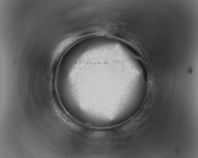 X0000116660149200912291644