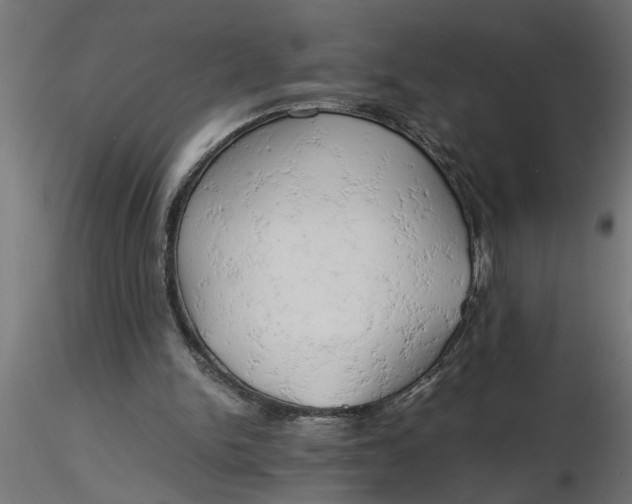 X0000116660150200912291644