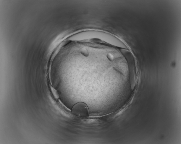 X0000116660151200912291644