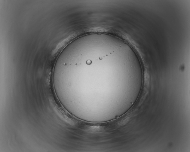 X0000116660153200912291644