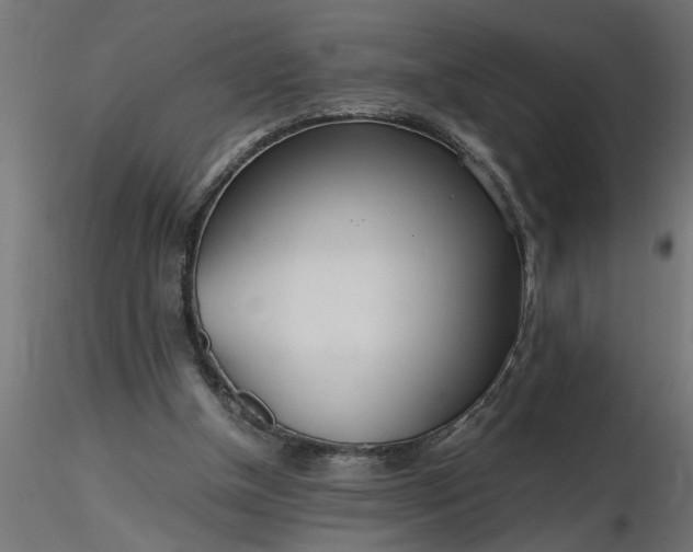 X0000116660154200912291644