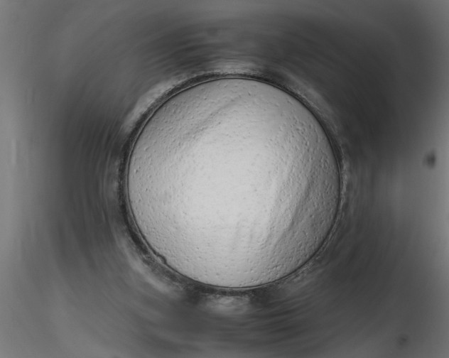 X0000116660155200912291644