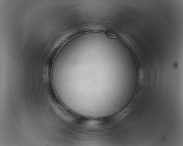 X0000116660158200912291645