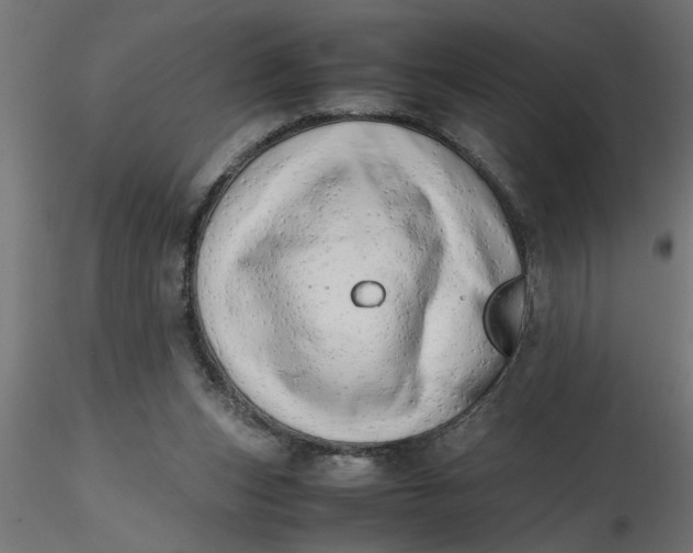 X0000116660159200912291645