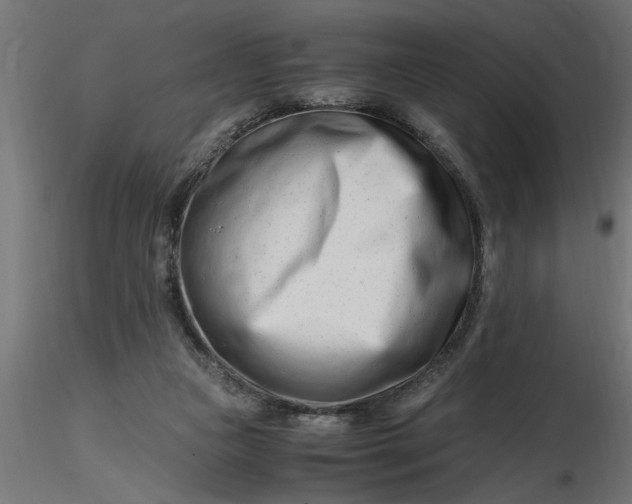 X0000116660161200912291645