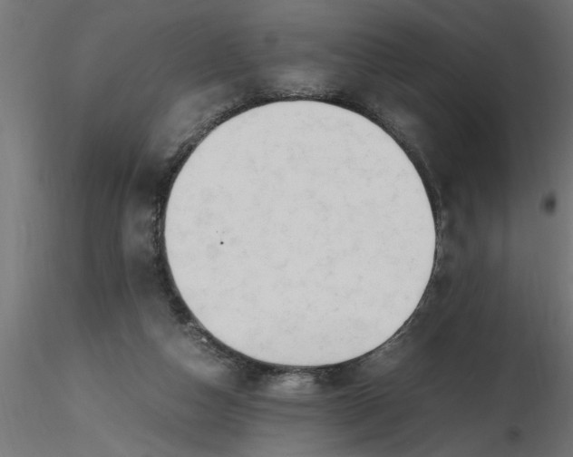 X0000116660162200912291645