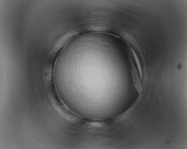 X0000116660163200912291645