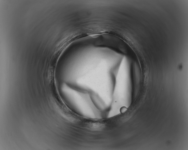 X0000116660165200912291645