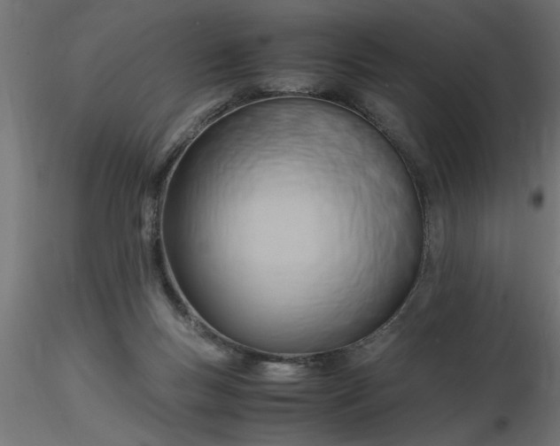 X0000116660167200912291645