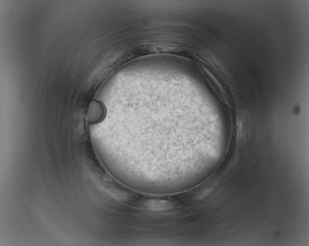 X0000116660169200912291645