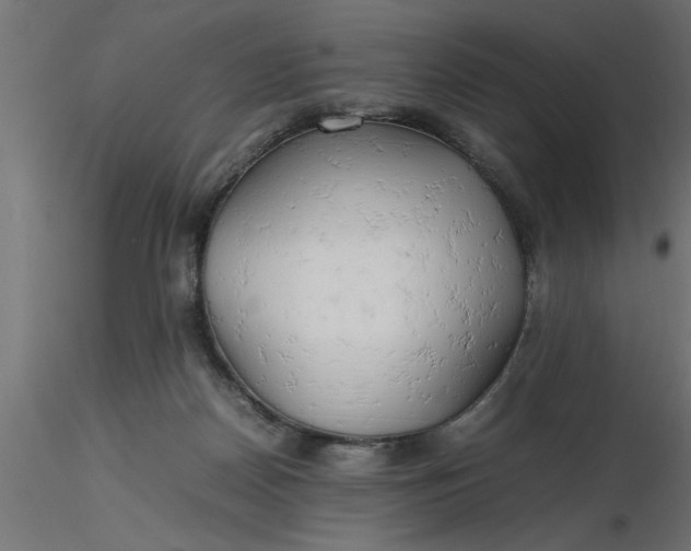 X0000116660170200912291645