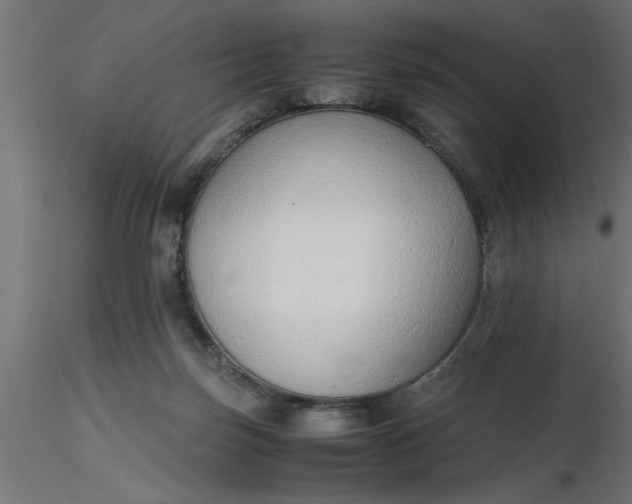 X0000116660171200912291645