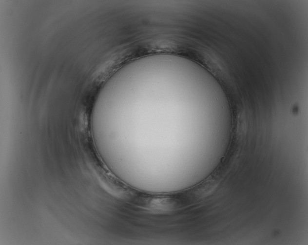 X0000116660173200912291645