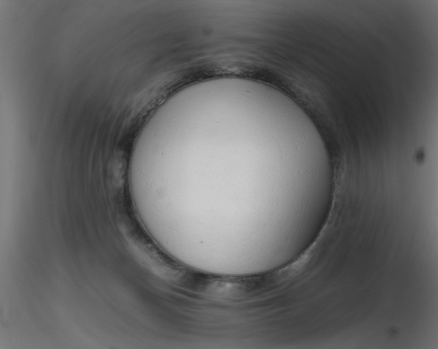 X0000116660174200912291645