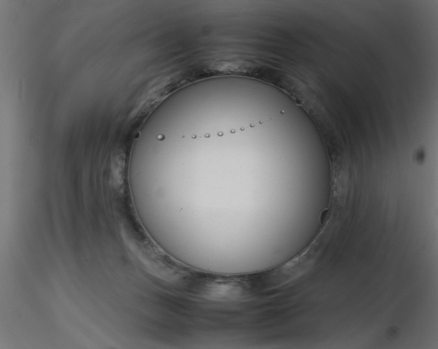 X0000116660175200912291645