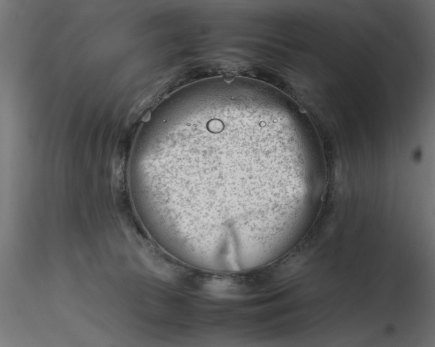 X0000116660177200912291645