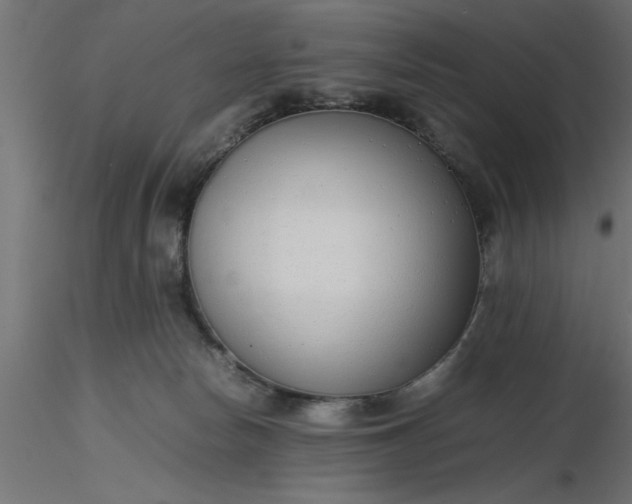 X0000116660178200912291645