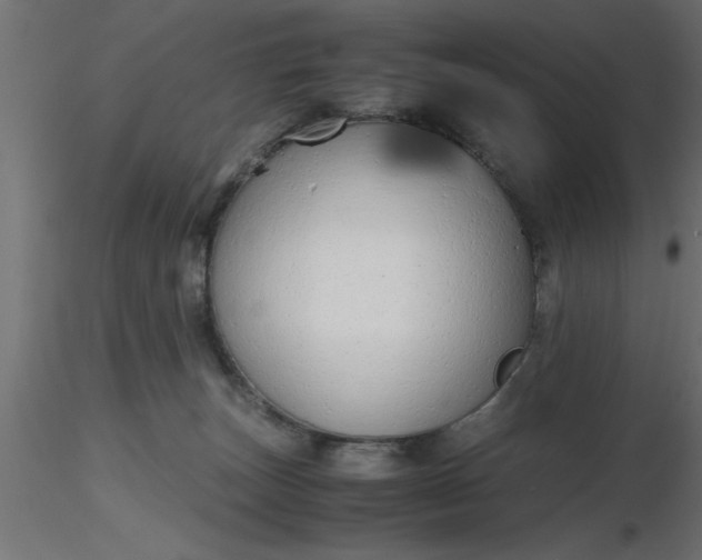 X0000116660179200912291645