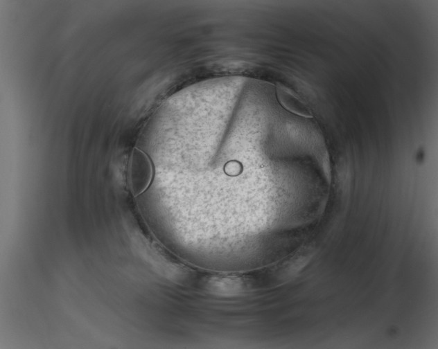 X0000116660181200912291645