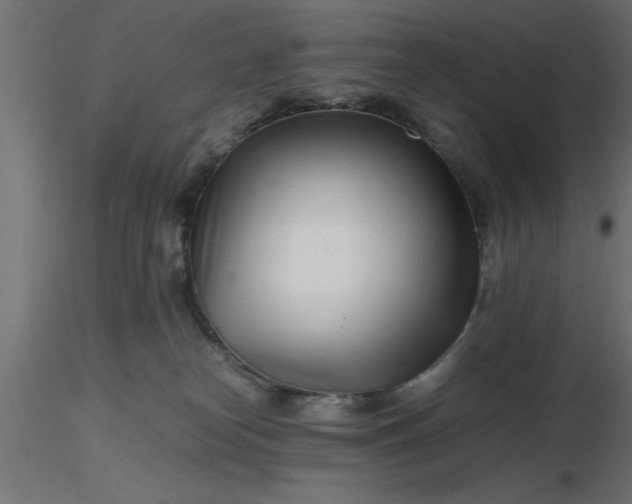 X0000116660182200912291645