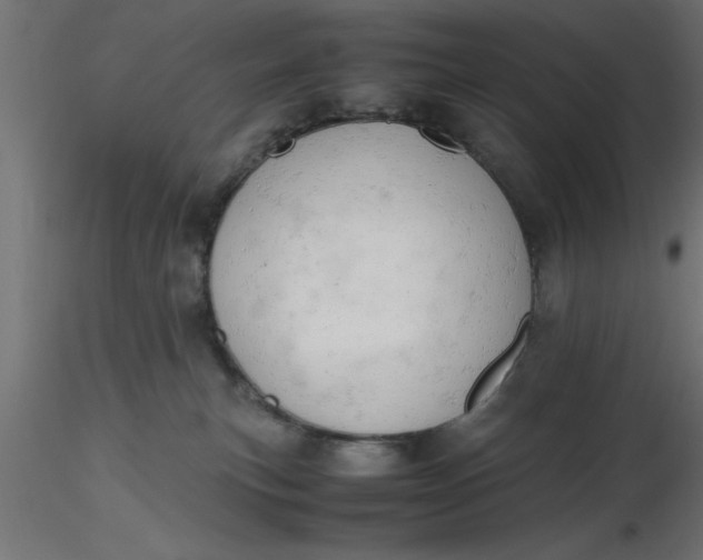 X0000116660183200912291645