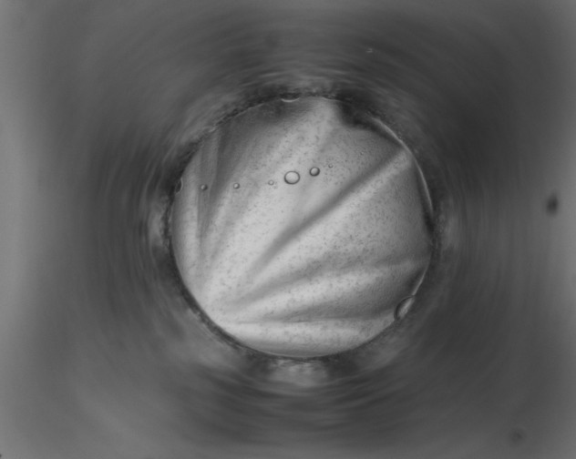 X0000116660185200912291645