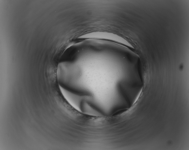 X0000116660186200912291645