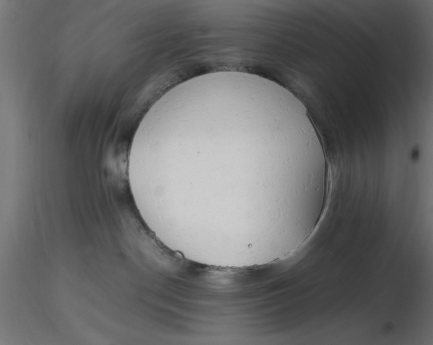 X0000116660190200912291645