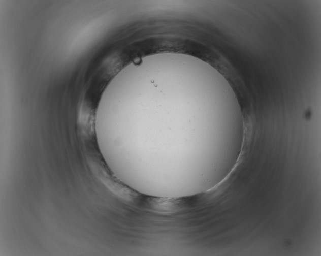 X0000116660191200912291645