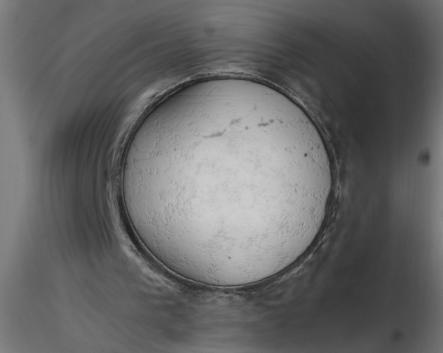 X0000116660193200912291644