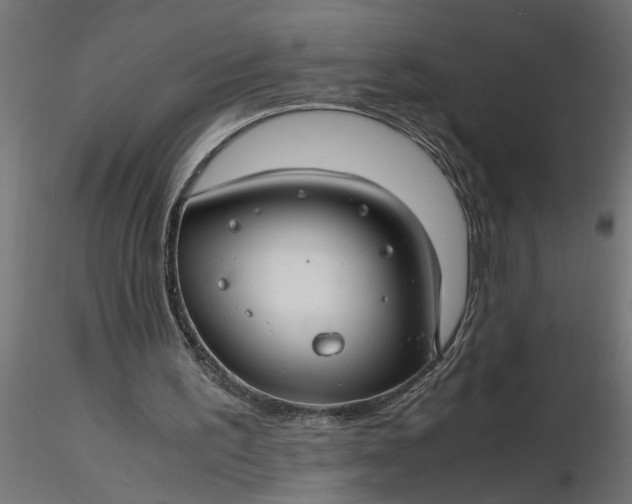 X0000116660195200912291644