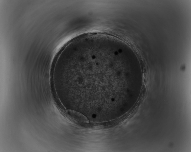 X0000116660196200912291644